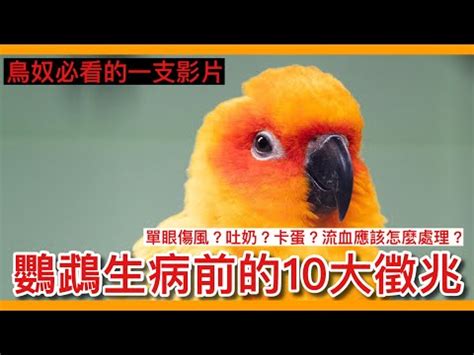 死鳥怎麼處理